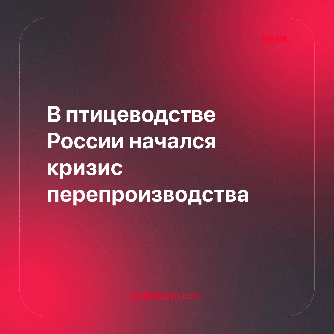 В птицеводстве России начался кризис перепроизводства